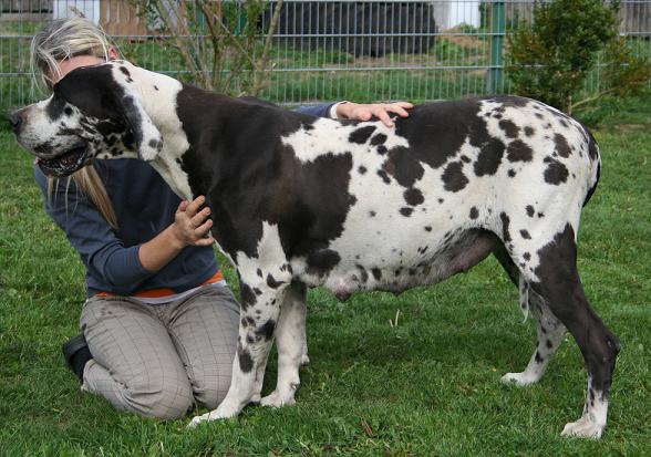 Tagebuch LWurf geplant Ende Mai